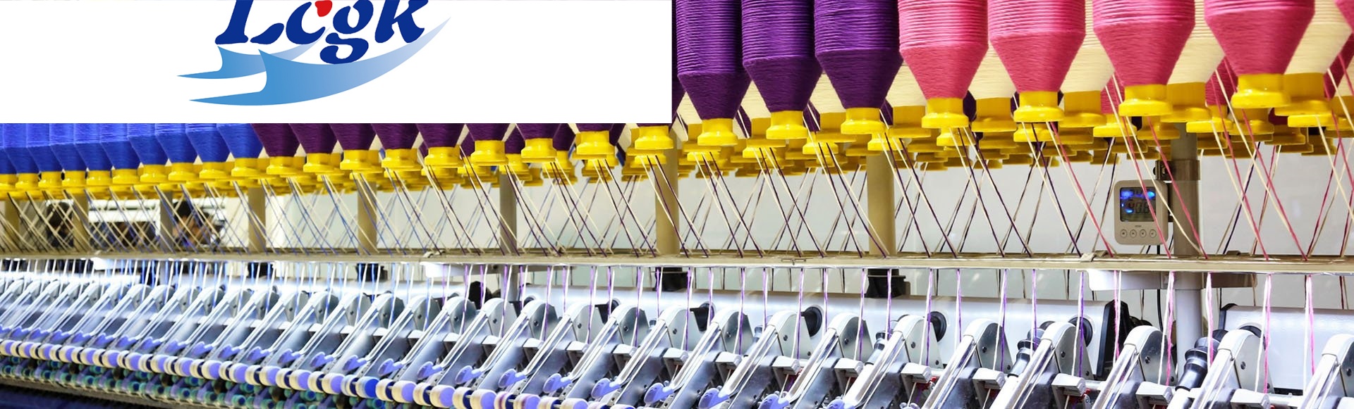 Air Cooled Servo Voltage Stabilizers